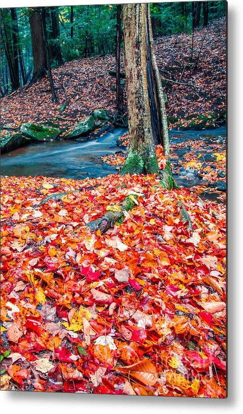 Gorge Metal Print featuring the photograph Chesterfield Gorge New Hampshire #3 by Edward Fielding