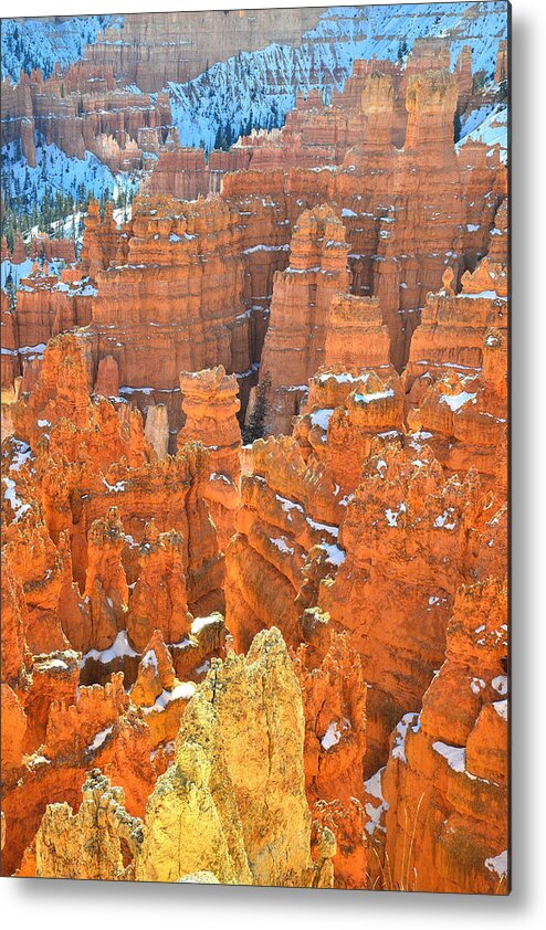 Bryce Canyon National Park Metal Print featuring the photograph Bryce Canyon #39 by Ray Mathis