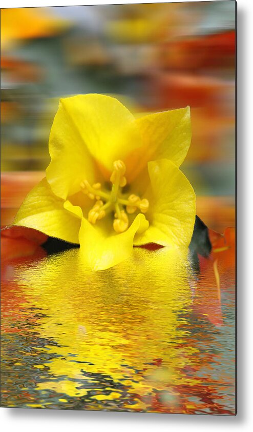 Flowers Metal Print featuring the photograph Floral Fractals and Floods Digital Art #4 by David French