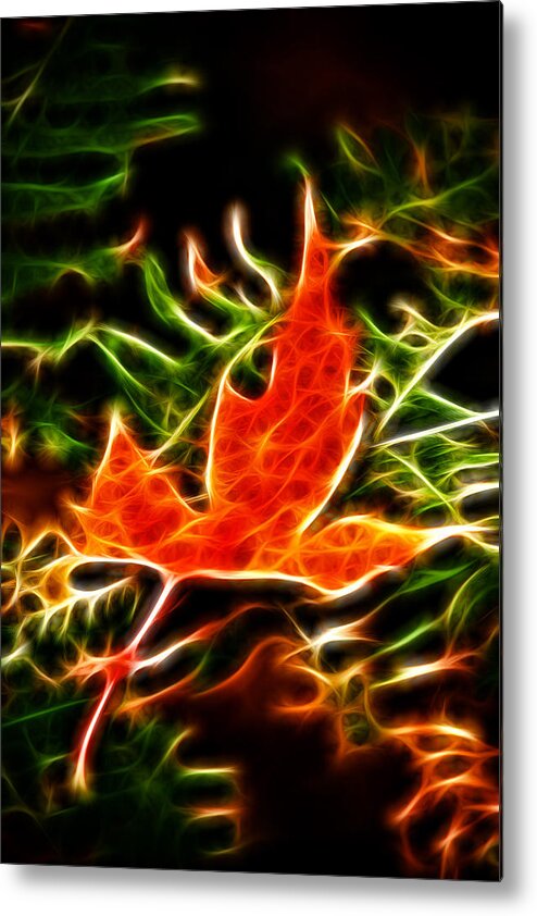 Fractal Metal Print featuring the photograph Fractal Maple leaf #4 by Prince Andre Faubert