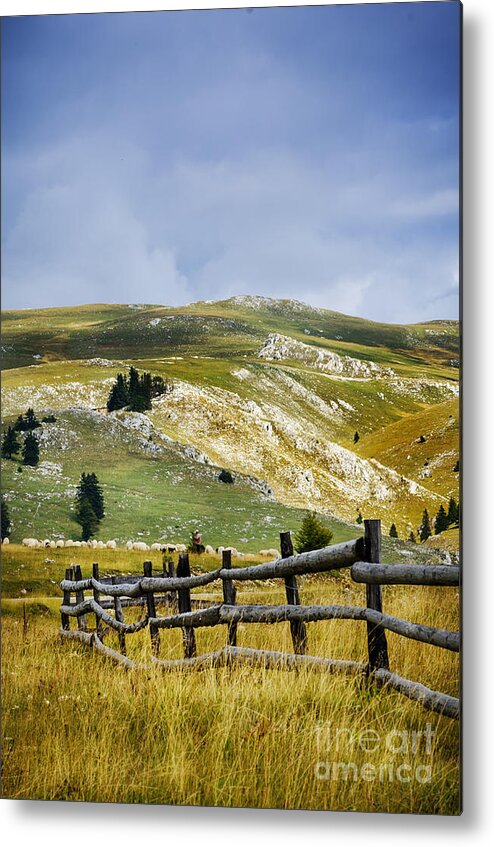 Fence Metal Print featuring the photograph Landscape #2 by Jelena Jovanovic