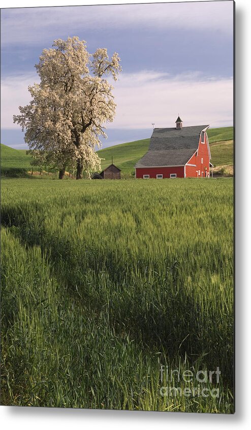 Red Barn Metal Print featuring the photograph Red Barn #7 by John Shaw