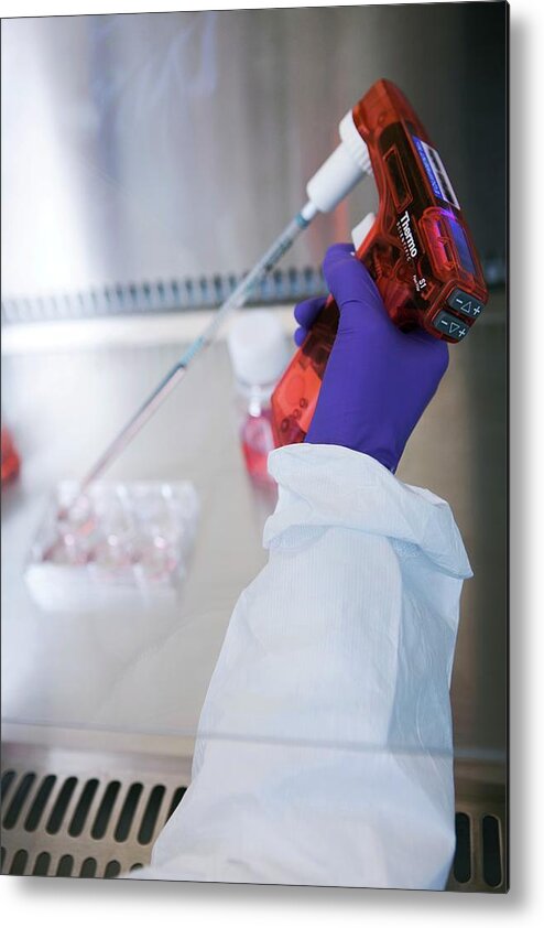 Equipment Metal Print featuring the photograph Stem Cell Drug Research #6 by Lewis Houghton/science Photo Library
