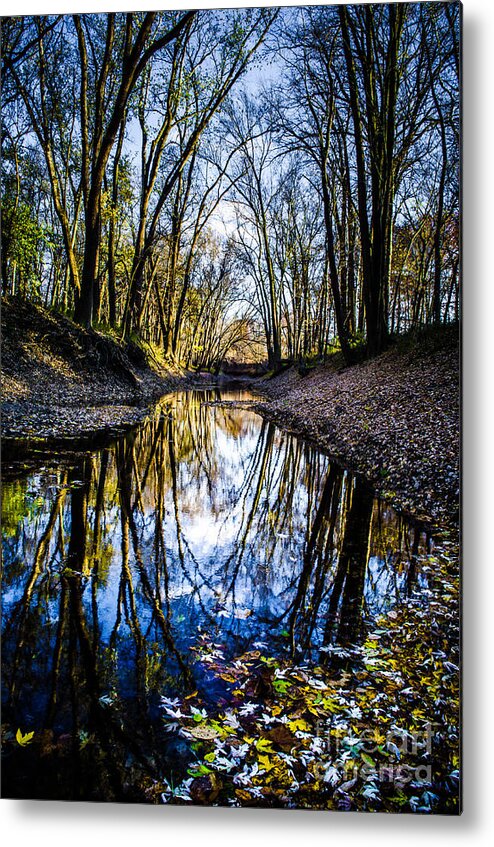 Stream Metal Print featuring the photograph Treasure Of Leaves #8 by Michael Arend