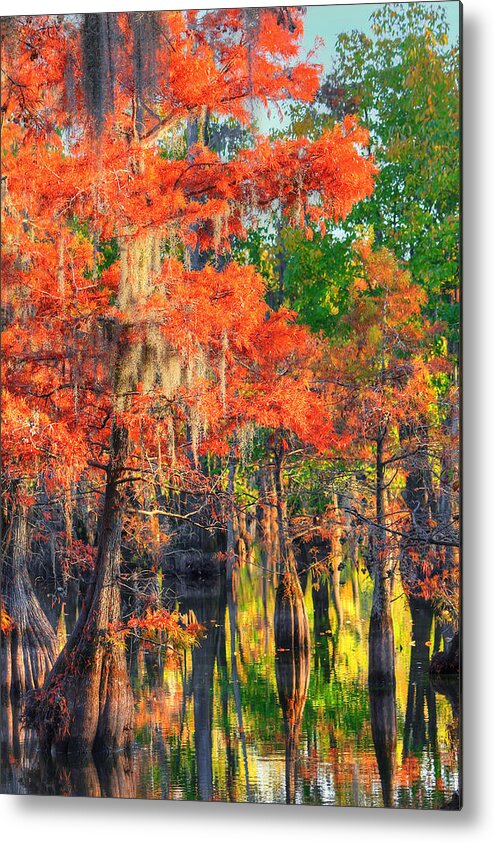 Autumn Metal Print featuring the photograph A Change of Colors by Ester McGuire