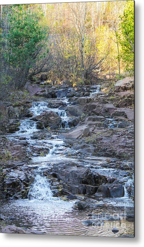 Fall Metal Print featuring the photograph A Fall Day by CJ Benson