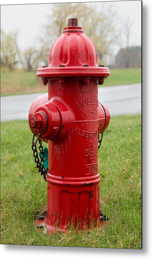Fire Metal Print featuring the photograph A Fire Hydrant by Courtney Webster
