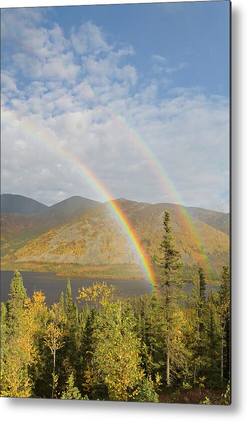Alaska Metal Print featuring the photograph A Rainbow Arcs Over Autumn Colors by Hugh Rose