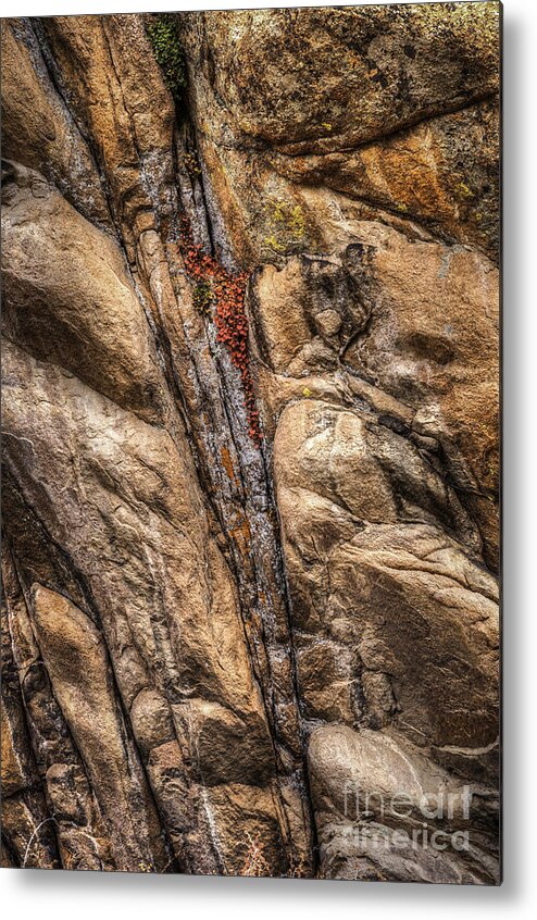 Mountain Stone Metal Print featuring the photograph A Touch of Red by David Waldrop