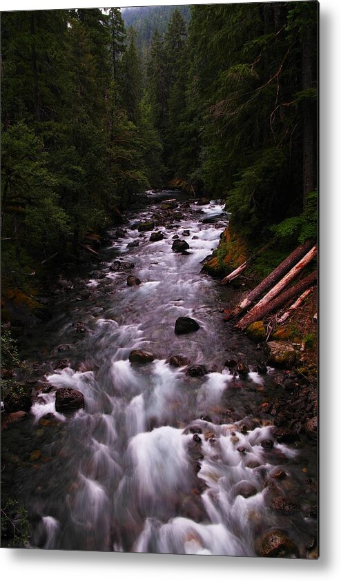 Rivers Metal Print featuring the photograph A View Of The River by Jeff Swan