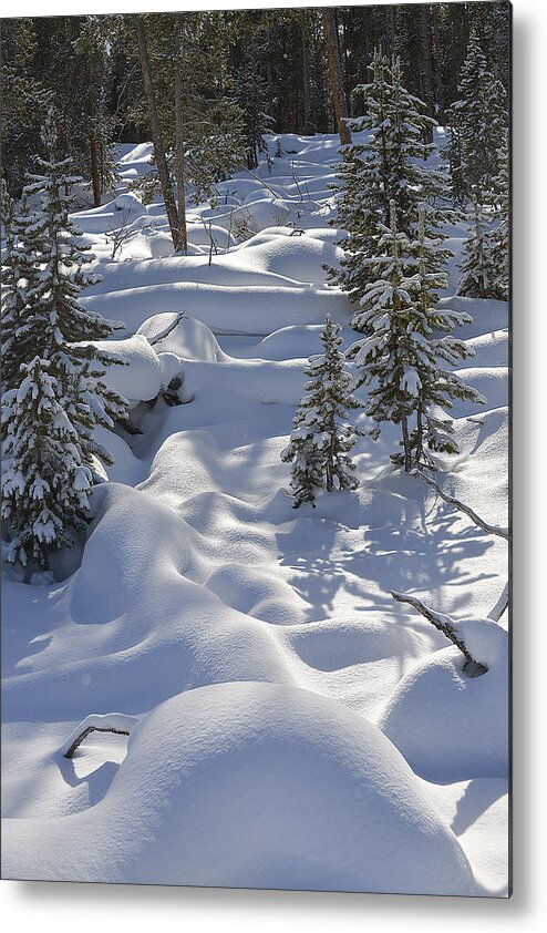 Snow Metal Print featuring the photograph A Winter Wonderland by Bill Cubitt