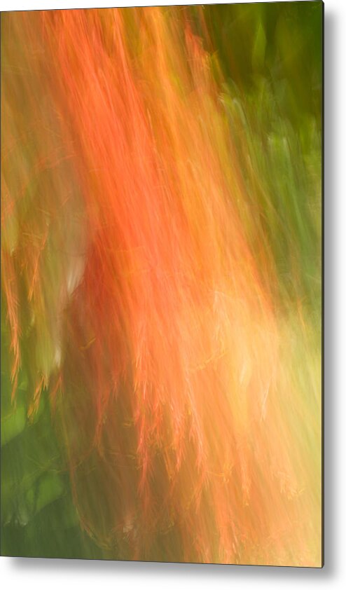 Flowers Metal Print featuring the photograph Abstract 16 by Steve DaPonte