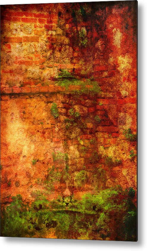 Italian Wall With Vines Metal Print featuring the photograph Abstract Vines on Wall - Radi Italy by Bob Coates