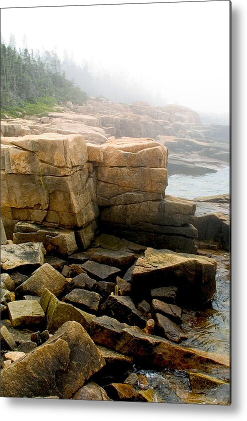 Landscape Metal Print featuring the photograph Acadia Morning 7647 by Brent L Ander