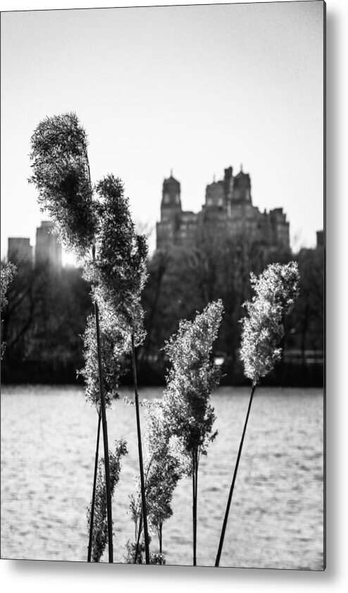 Central Park Metal Print featuring the photograph Across the Reservoir by Jon Woodhams