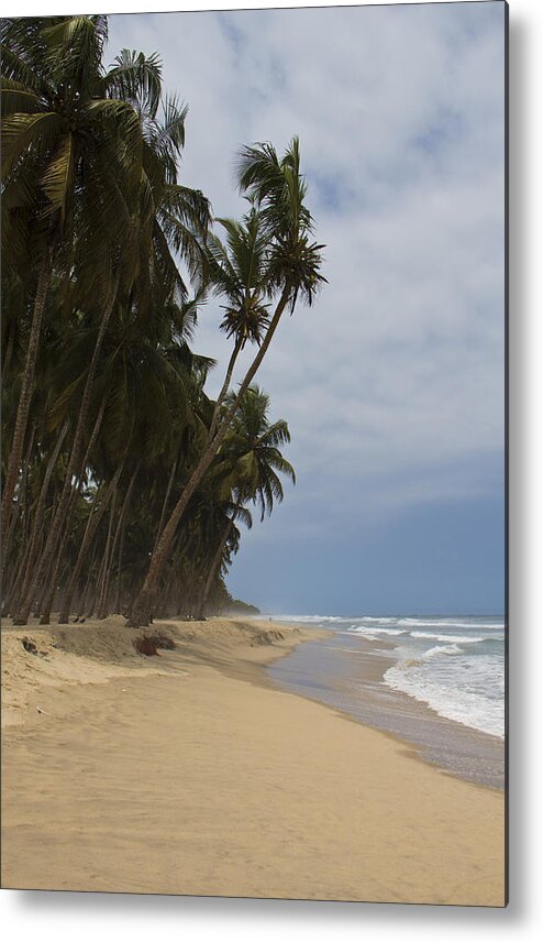 Beach Metal Print featuring the photograph African Paradise by Kendal Brenneman