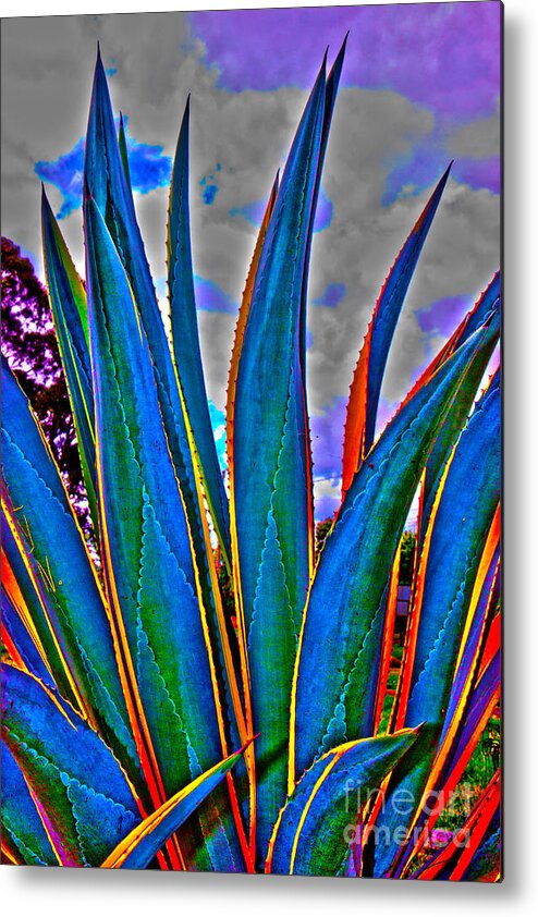 Hdr Metal Print featuring the photograph Agave HDR by Al Bourassa