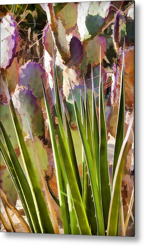 Agave Metal Print featuring the photograph All pointy and sharp by Scott Campbell