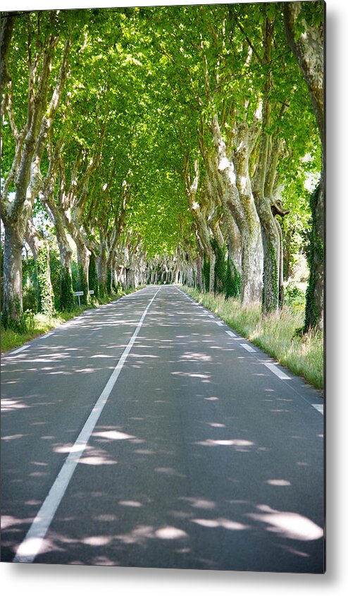 Photography Metal Print featuring the photograph Allee Of Trees, St.-remy-de-provence by Panoramic Images