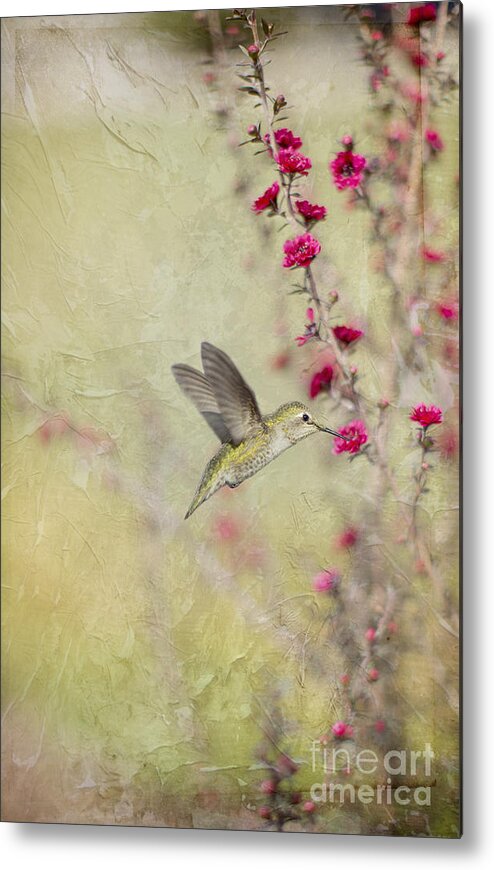 Hummingbird Metal Print featuring the digital art Allen's Hummingbird with Red Wildflowers by Susan Gary