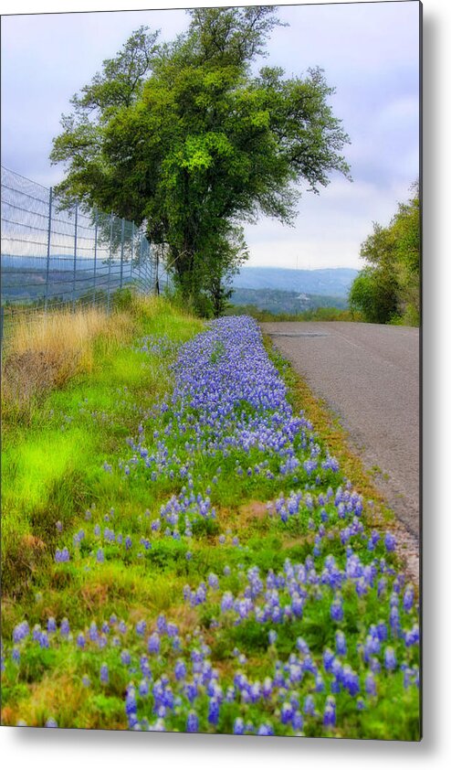 Landscape Metal Print featuring the photograph Along the By Ways by Joan Bertucci