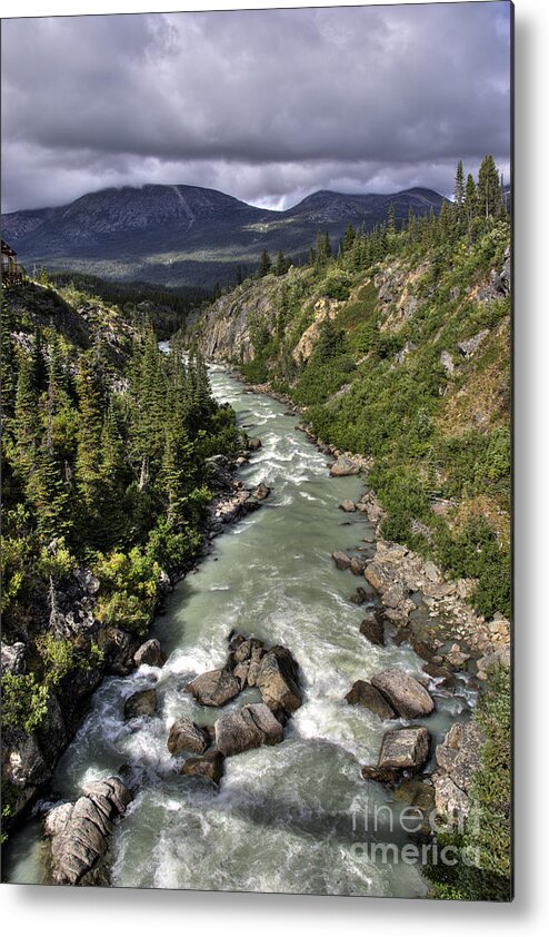 Chilkoot Trail Metal Print featuring the photograph Along the Chilkoot Trail by Inge Riis McDonald