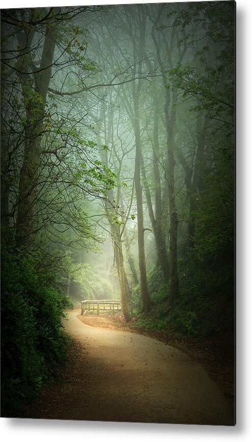 Beautiful Metal Print featuring the photograph Along the Path by Svetlana Sewell