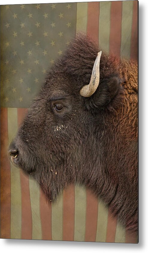 Bison Metal Print featuring the photograph American Bison Headshot Profile by James BO Insogna