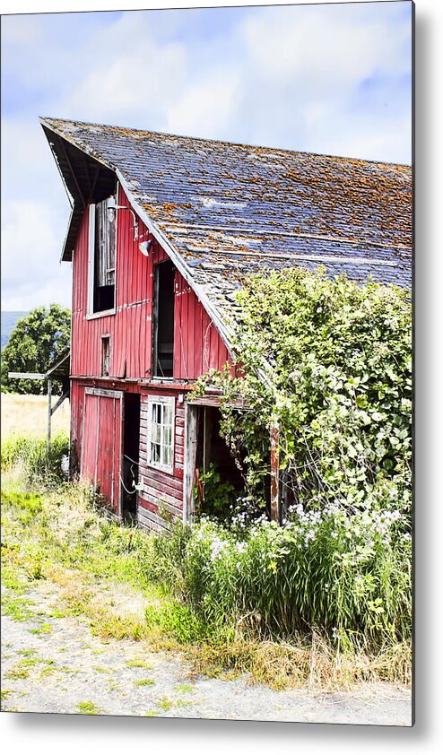 Barn Metal Print featuring the photograph An Old Barn in color by Cathy Anderson