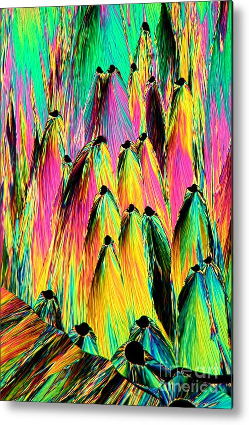 Crystals Metal Print featuring the photograph Antipyrine Crystals, Lm by M. I. Walker