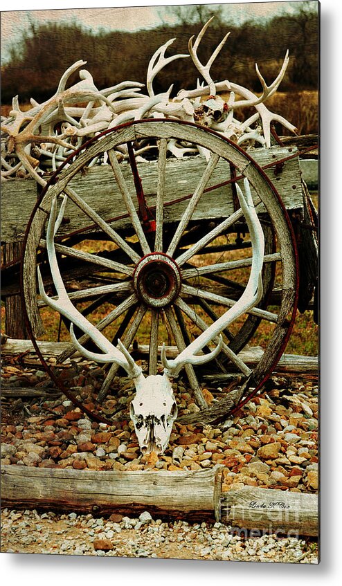 Texas Metal Print featuring the photograph Antlers Wagon Wheel by Linda Cox