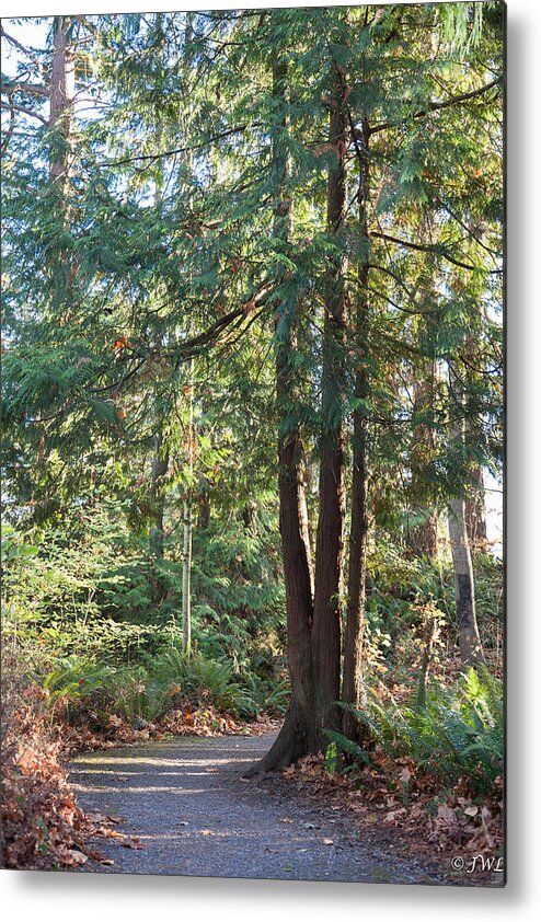 Bellingham Metal Print featuring the photograph Around the Bend by Judy Wright Lott