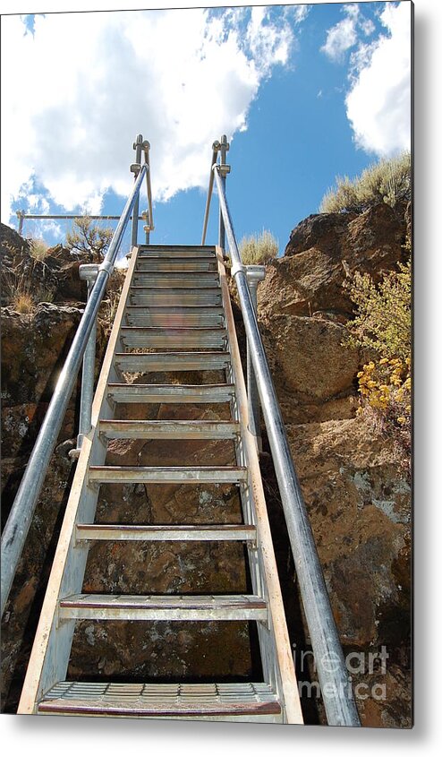 Ladder Metal Print featuring the photograph Ascending by Debra Thompson