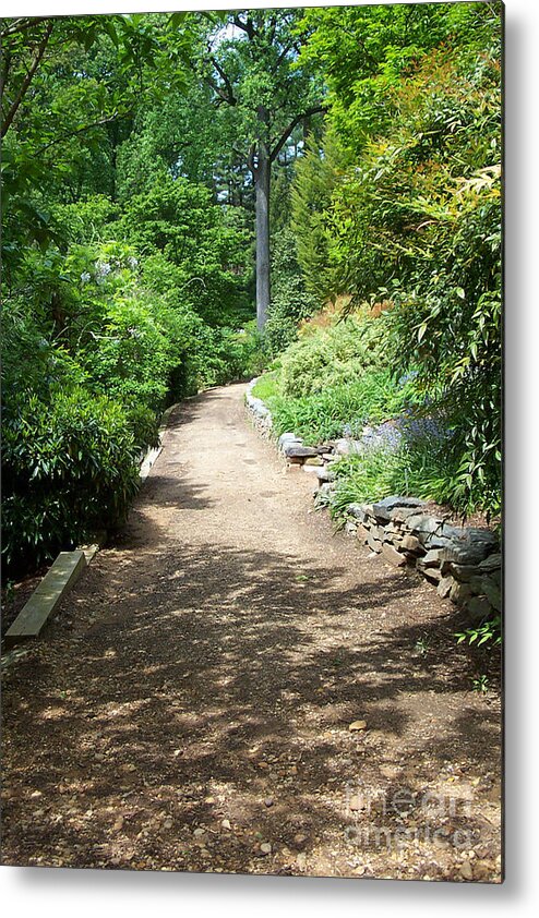 Paths Metal Print featuring the photograph Asian Paths No. 41 by Walter Neal