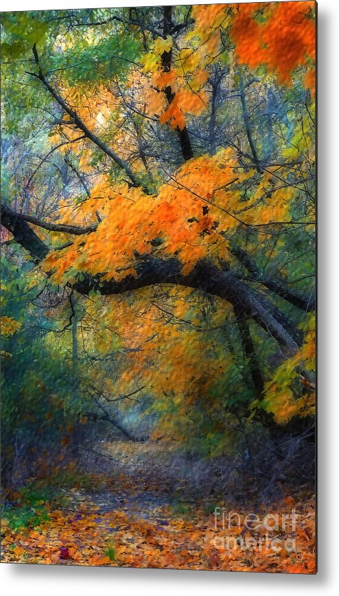 Autumn Metal Print featuring the photograph Autumn 4 by Jeff Breiman