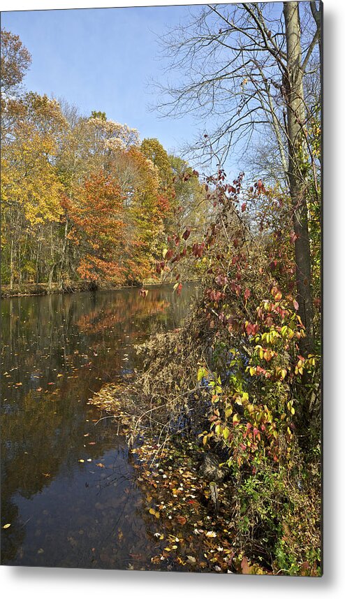 Autumn Metal Print featuring the photograph Autumn Colors on the Canal by David Letts