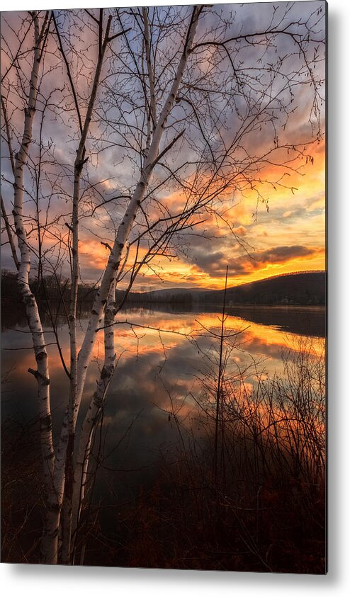 Birch Tree Metal Print featuring the photograph Autumn Dawn by Bill Wakeley