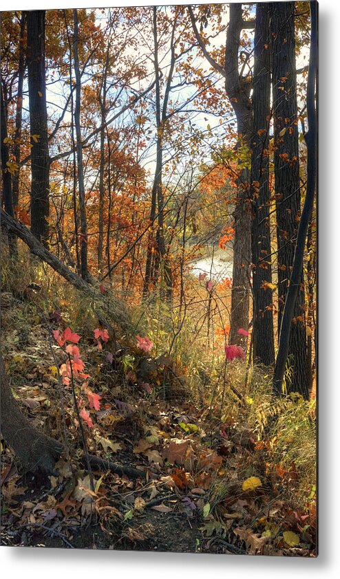 Landscape Metal Print featuring the photograph Autumn Hillside by Art Tilley