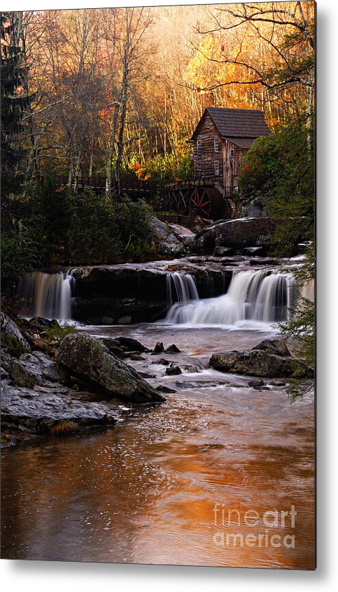 Photography Metal Print featuring the photograph Autumn Light by Larry Ricker