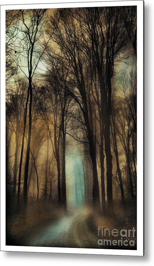 Nature Photography Metal Print featuring the photograph Autumn moonlight by Gina Signore