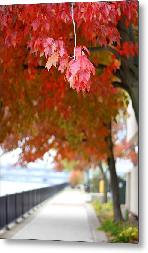 Autumn Metal Print featuring the photograph Autumn Sidewalk by Viviana Nadowski