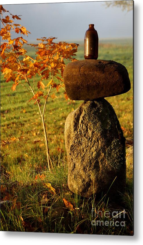 Newhampshire Metal Print featuring the photograph Balance by Kerri Mortenson