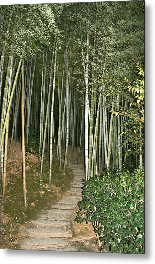 Bamboo Metal Print featuring the photograph Bamboo Forest Pathway by Angela Bushman