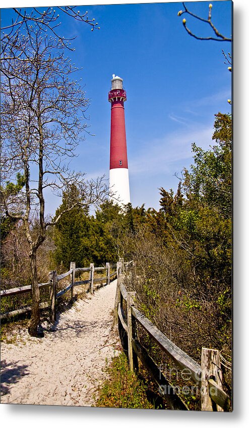 Lighthouses Metal Print featuring the photograph Barnegat Lighthouse II by Anthony Sacco