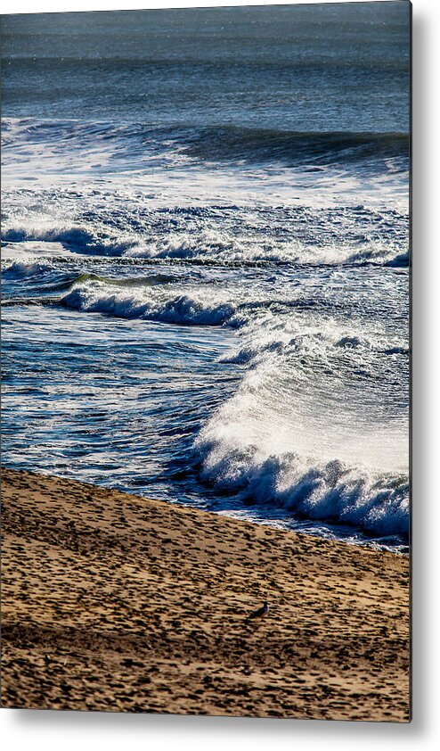 Waves Metal Print featuring the photograph Beaches and Birds by Brian Williamson