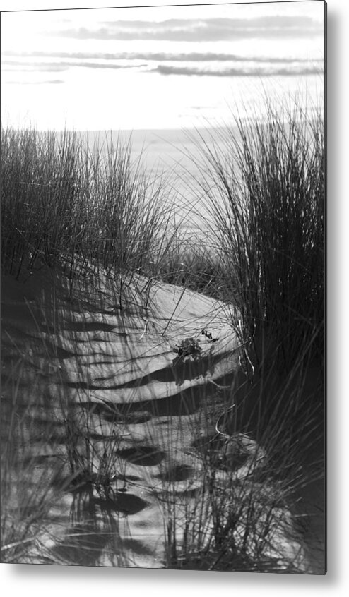 Beach Metal Print featuring the photograph Beachgrass by Adria Trail