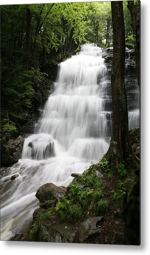 Waterfall Metal Print featuring the photograph Bear Creek Falls by Steve Parr
