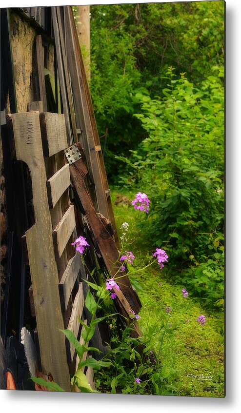 Behind The Old Shed Metal Print featuring the photograph Behind the Old Shed by Mary Machare