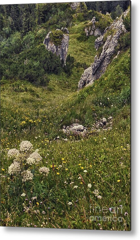 Landscape Metal Print featuring the photograph Berchtesgaden National Park Germany by Gerlinde Keating - Galleria GK Keating Associates Inc