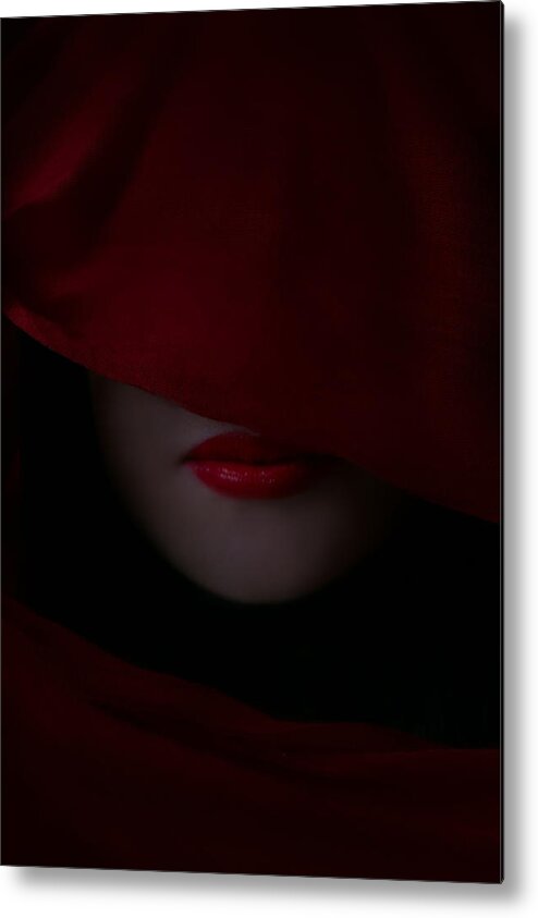 Red Metal Print featuring the photograph Between the Lines by Elvira Pinkhas